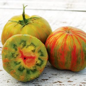 green_copia_pomidorai