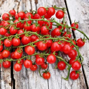 RED_BERRY_POMIDORŲ_DAIGAI