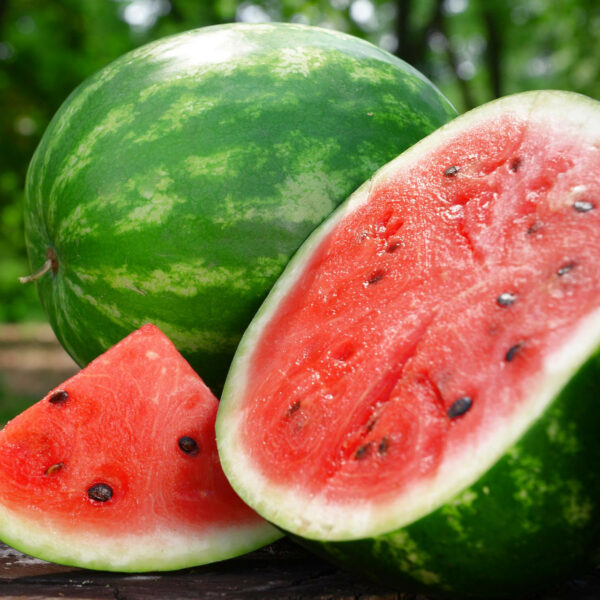 Crimson-Sweet-Watermelon