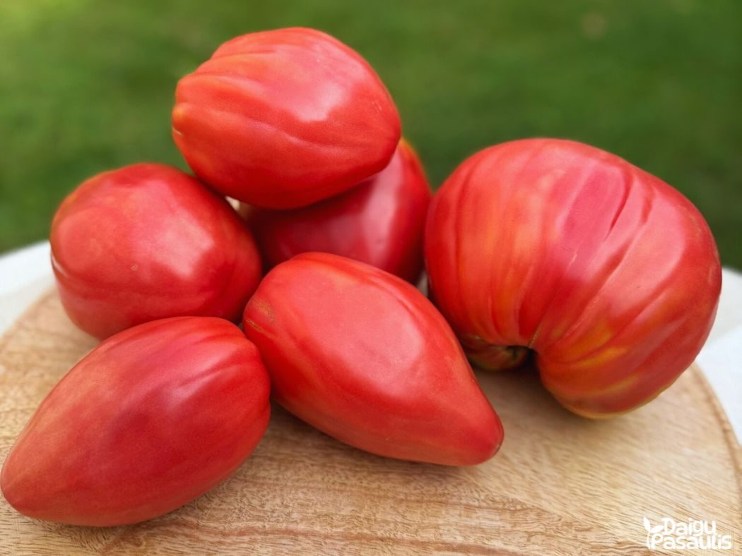 pomidorai rozine keterele