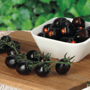 Pomidorų Sėklos Nightshade F1