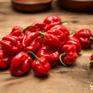 papriku seklos habanero calita red