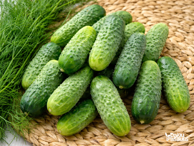rinish pickling agurku seklos