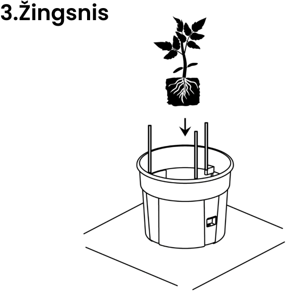 Vazono pomidorams paruošimo žingsnis 3