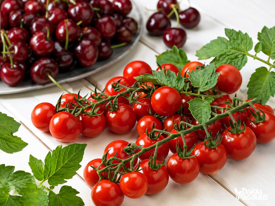 pomidoru daigai tutti frutti cherry red baby