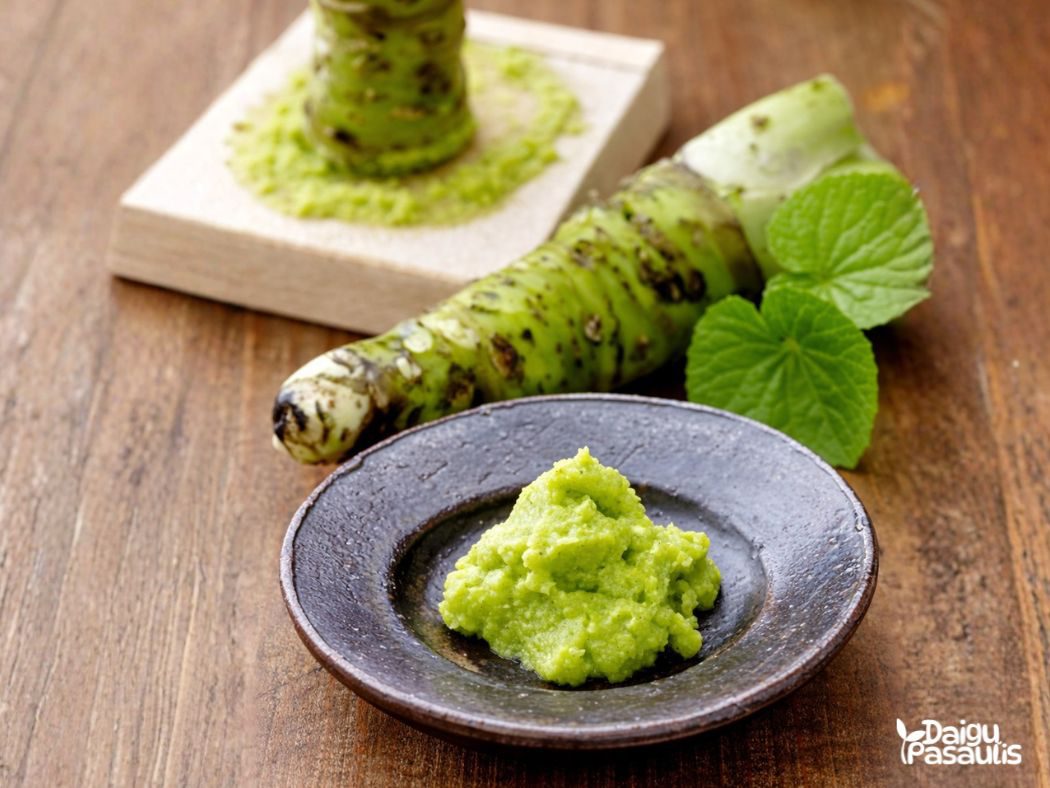 wasabi daigai