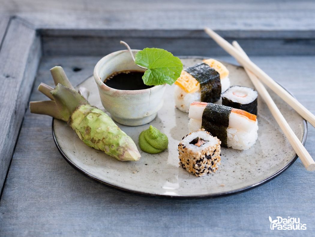 wasabi saknis