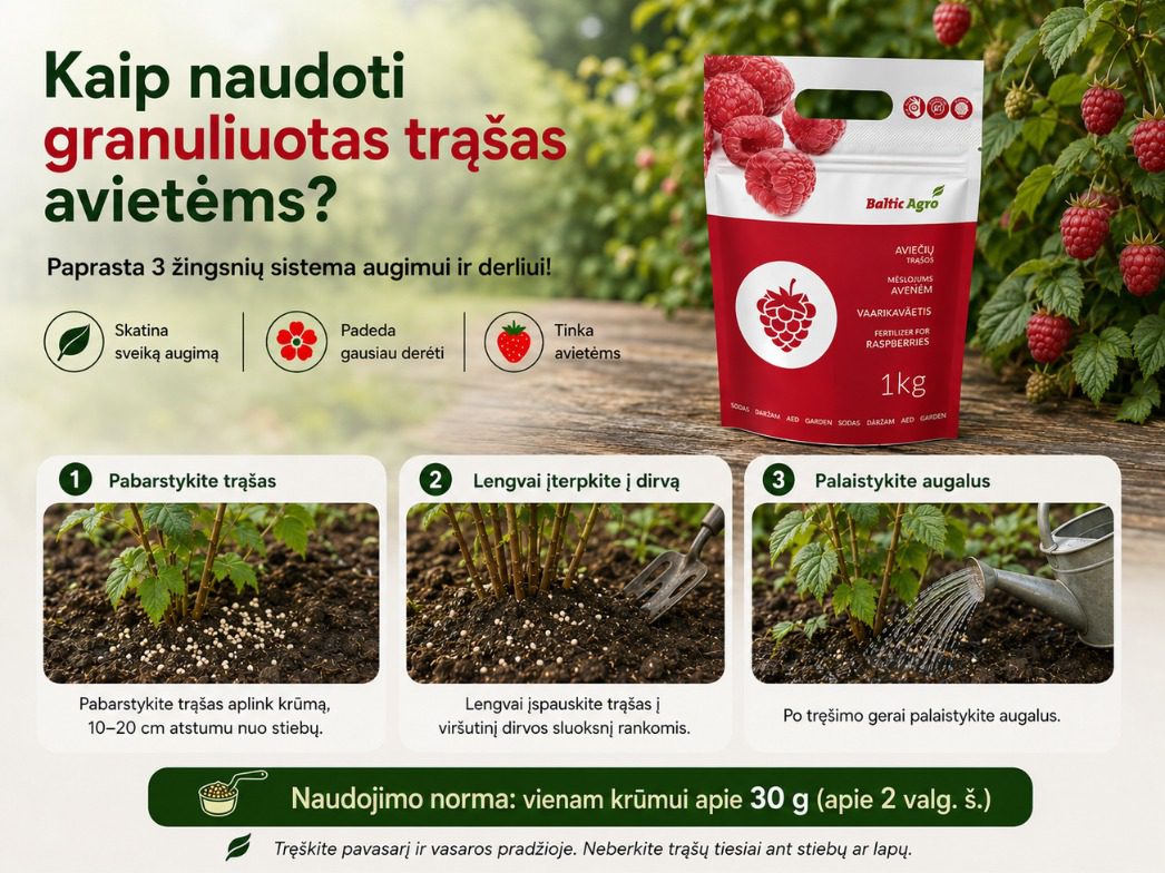 Granuliuotų trąšų avietėms naudojimo instrukcija