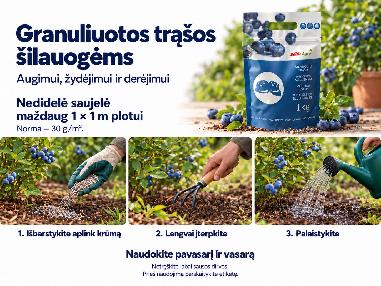 Granuliuotų šilauogių trąšų naudojimas: nedidelė saujelė maždaug 1 × 1 m plotui, tiksli norma 30 g/m²